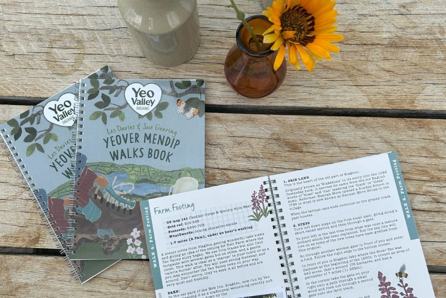 Books and a sunflower on a table